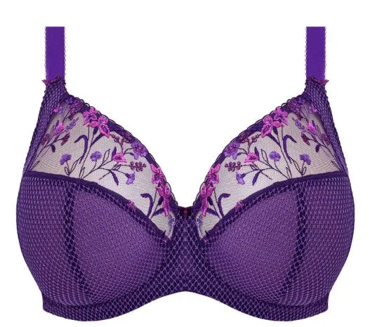Charley EL4380 - Plunge Bra - FASHION Color: Iris (LAST CHANCE COLOR)
