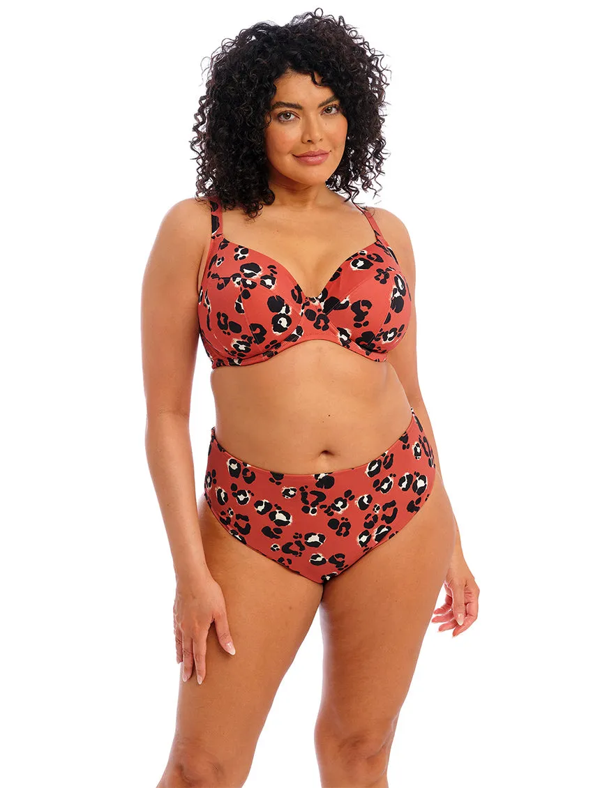 Elomi Kotiya Mid Rise Bikini Brief