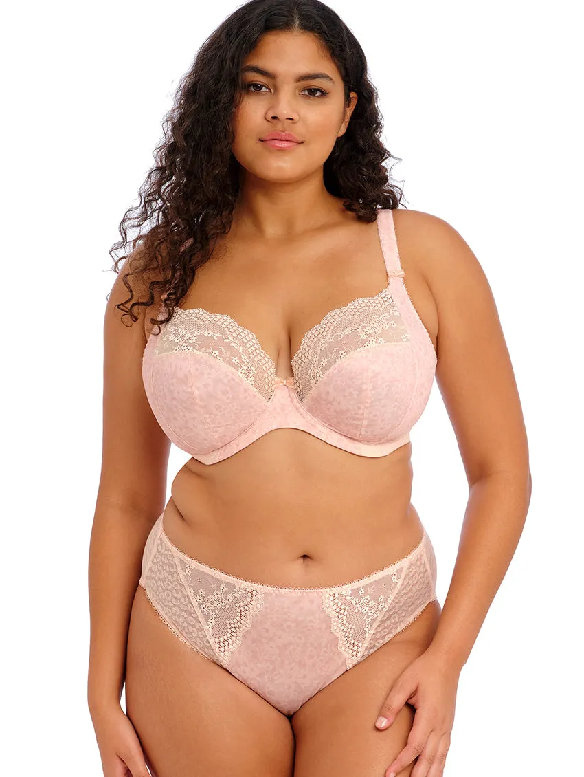 Elomi Lucie High Leg Brief