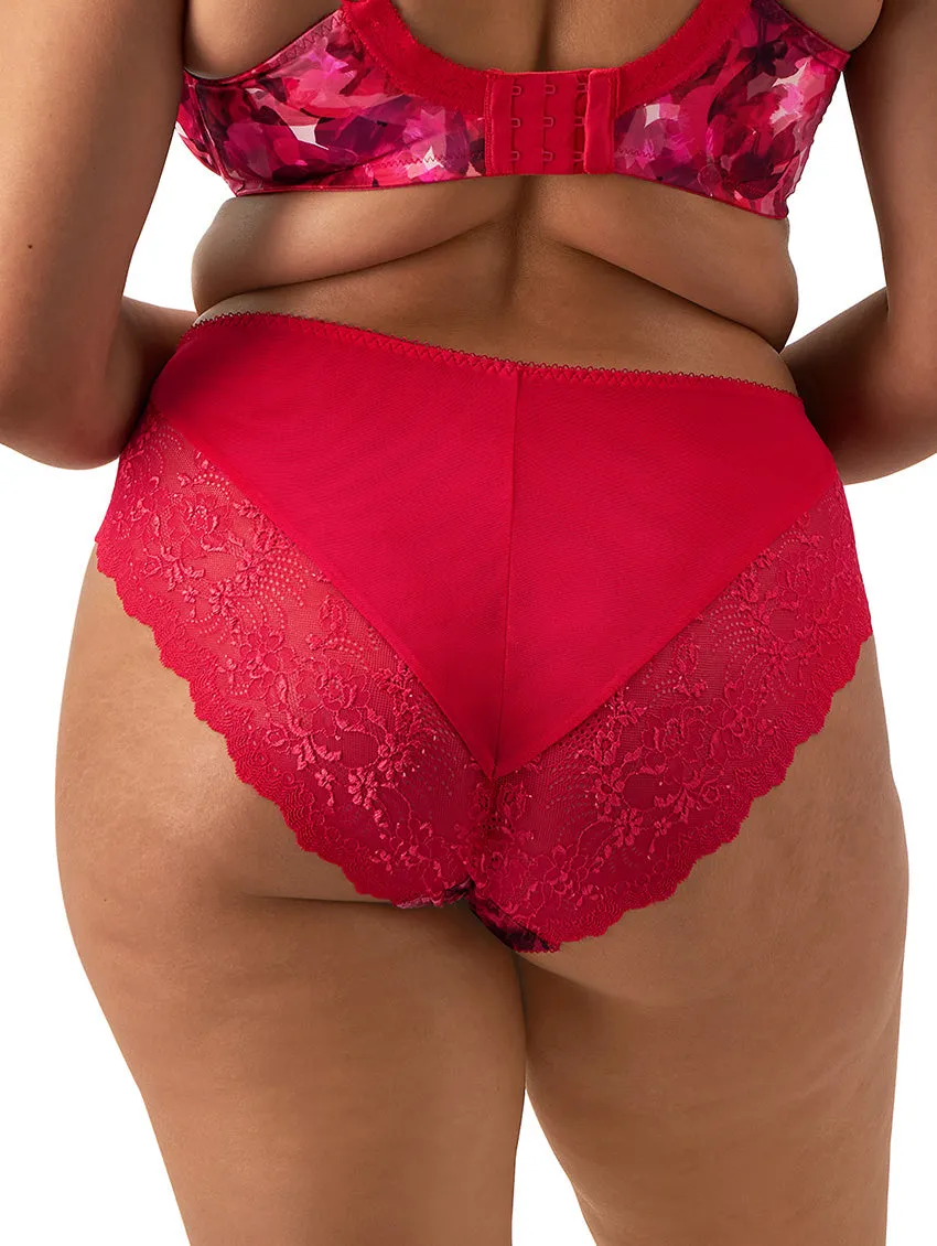 Elomi Morgan High Leg Brief