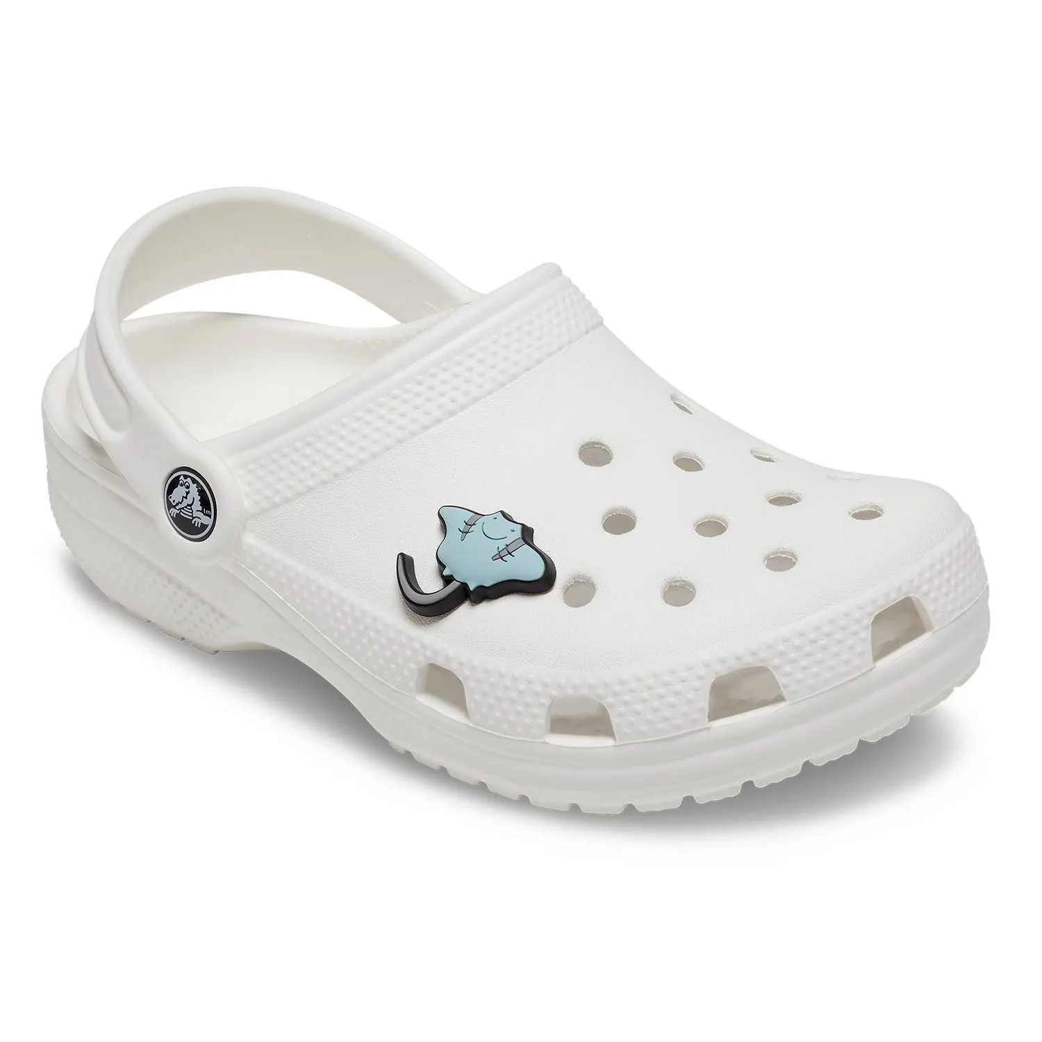 Stingray Jibbitz