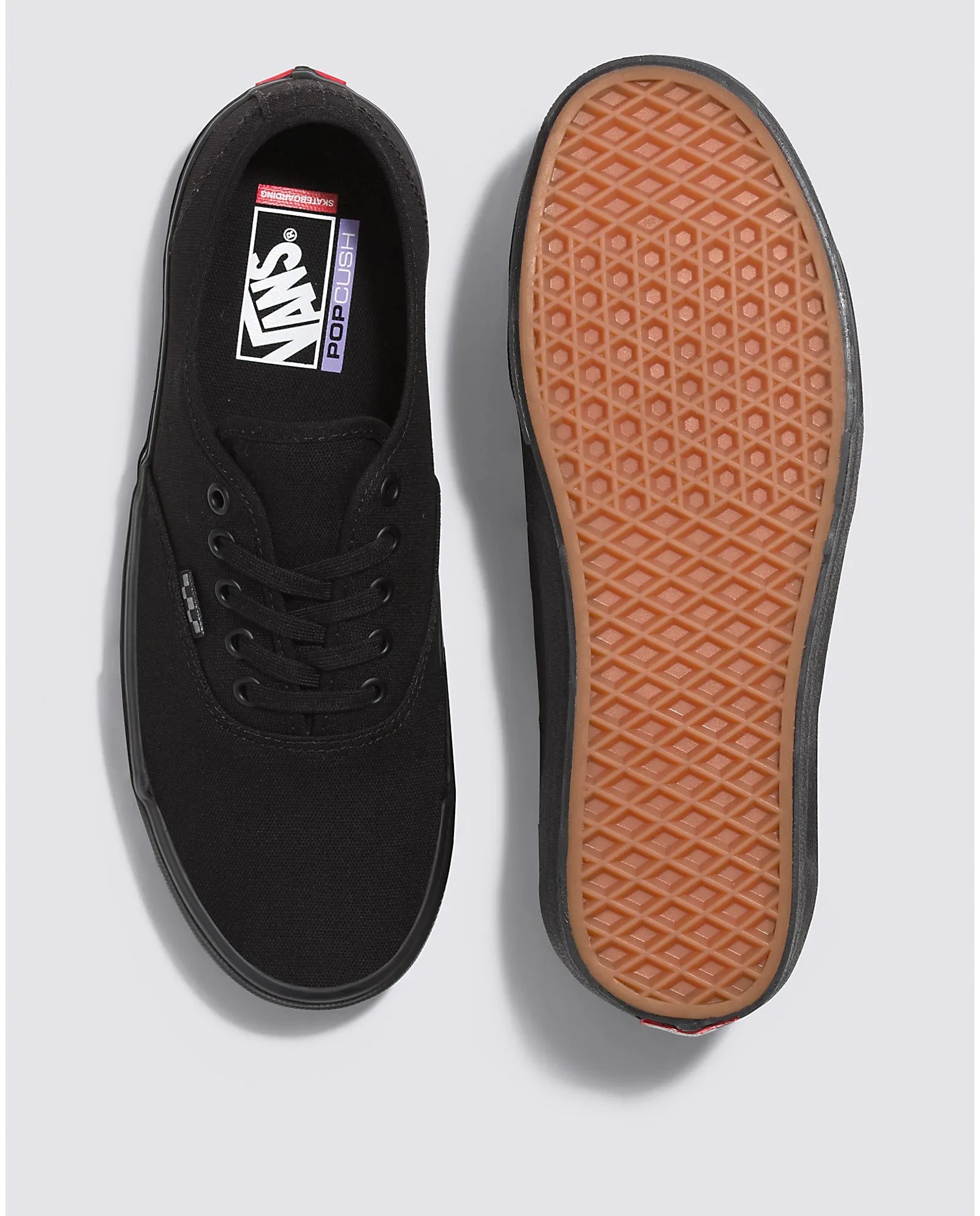 Vans Skate Authentic Black/Black
